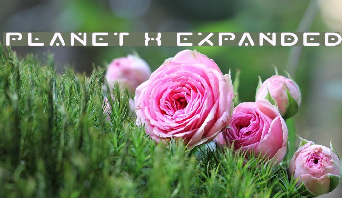 Planet X Expanded Font examples