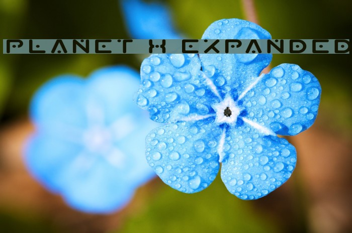 Planet X Expanded Font examples