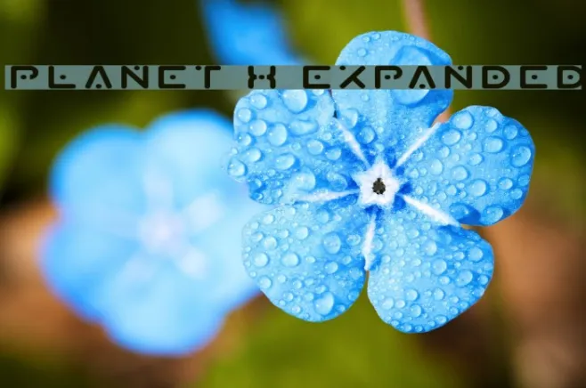 Planet X Expanded Example 3