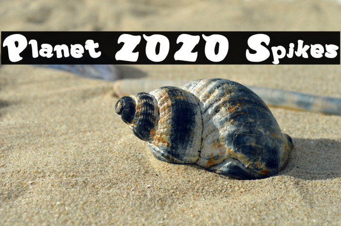 Planet ZOZO Spikes Example 3