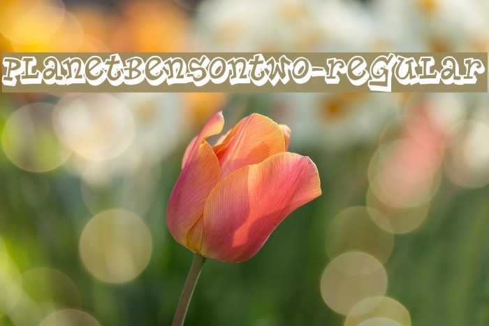 PlanetBensonTwo-Regular Font examples