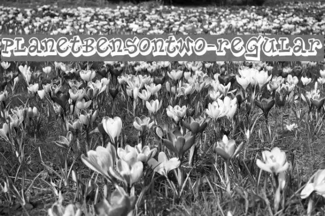 PlanetBensonTwo-Regular Font examples