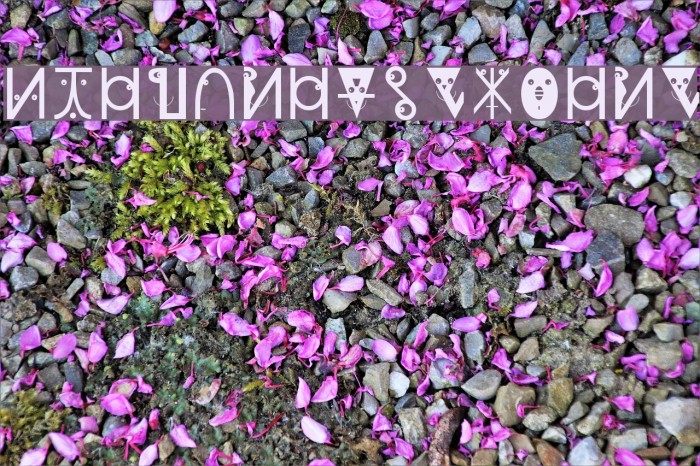 PlanetarishBats Example 1