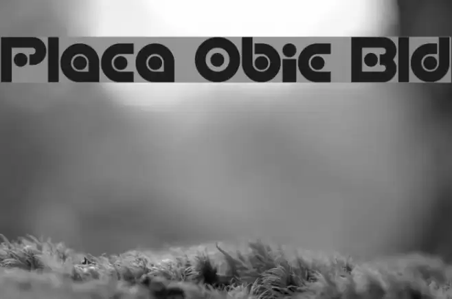 Planetary Orbiter Bold Font examples