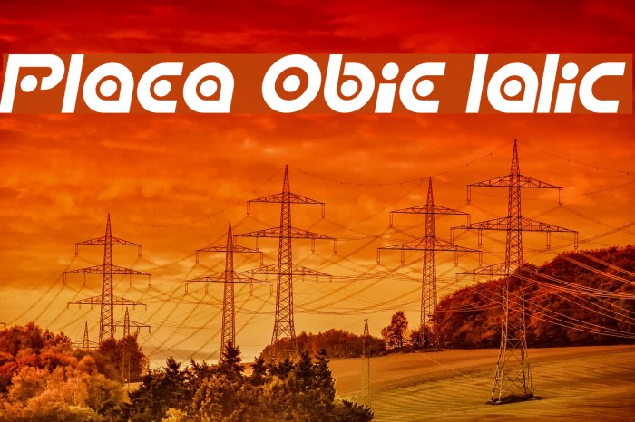Planetary Orbiter Italic Font examples