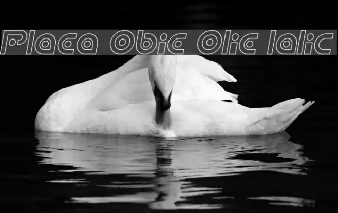 Planetary Orbiter Outline Italic Polices examples