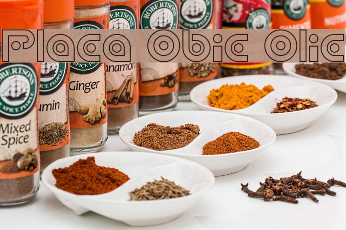 Planetary Orbiter Outline Example 2