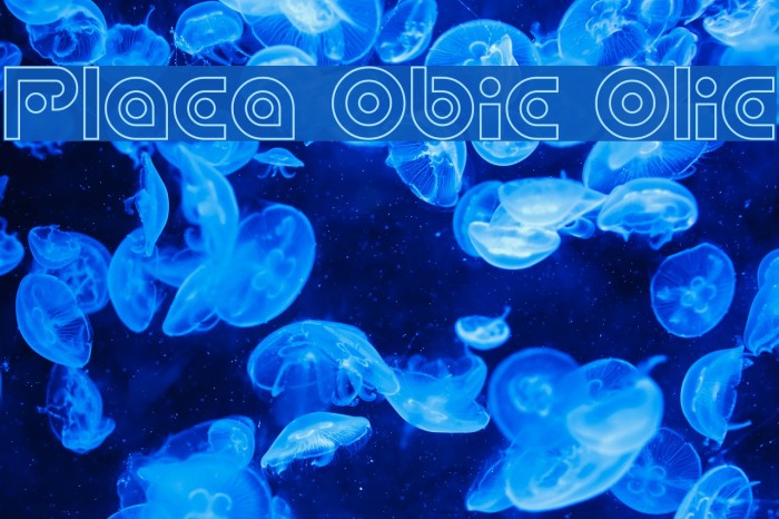 Planetary Orbiter Outline Example 3