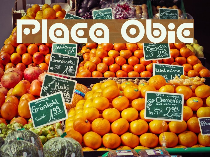 Planetary Orbiter Example 2