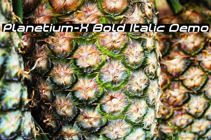 Planetium-X Bold Italic Demo Example 1
