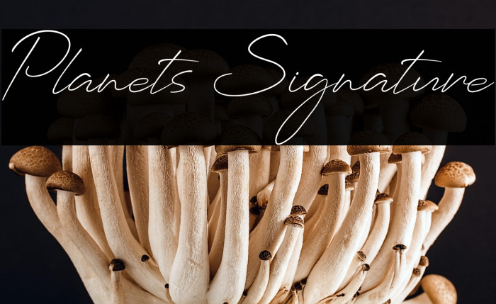 Planets Signature Example 2