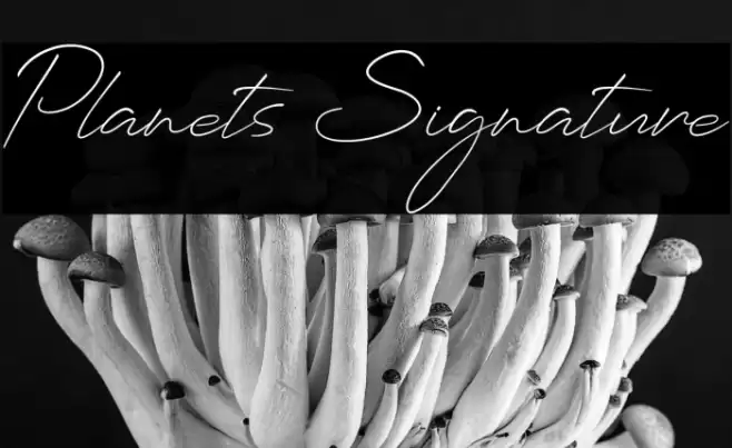 Planets Signature Font examples