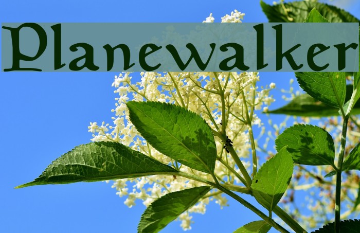 Planewalker Example 3