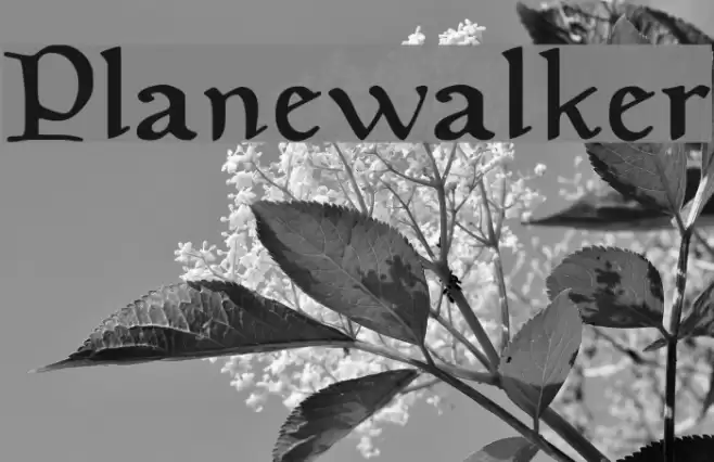 Planewalker Font examples