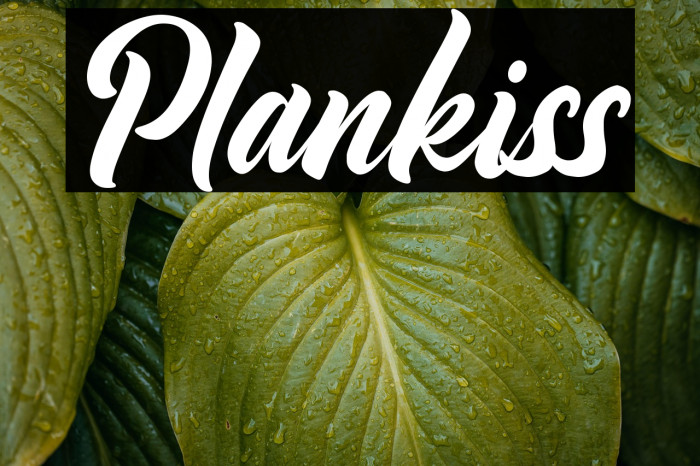 Plankiss Example 1