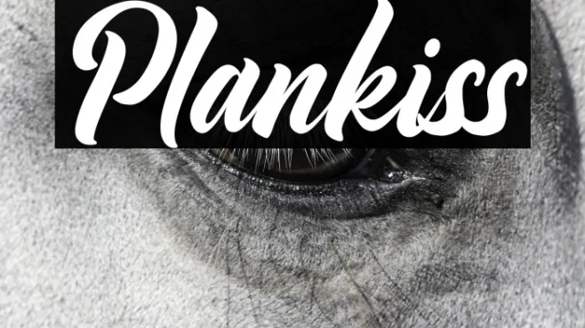 Plankiss Example 3