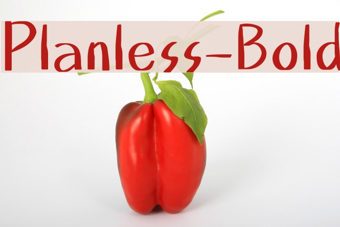 Planless-Bold Example 1