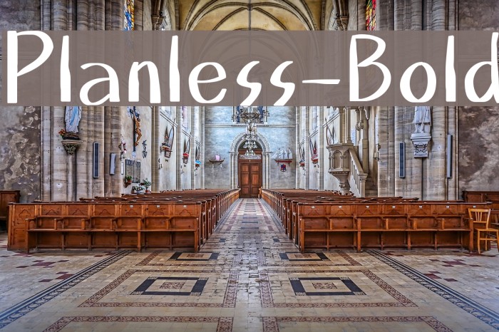 Planless-Bold Example 2