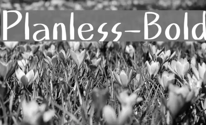 Planless-Bold Font examples