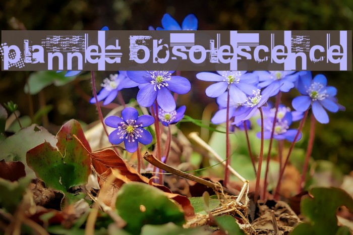 Planned Obsolescence Font examples