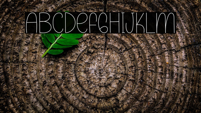 Planner Holiday Example 1