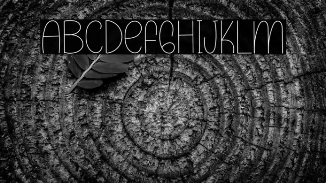 Planner Holiday Font examples