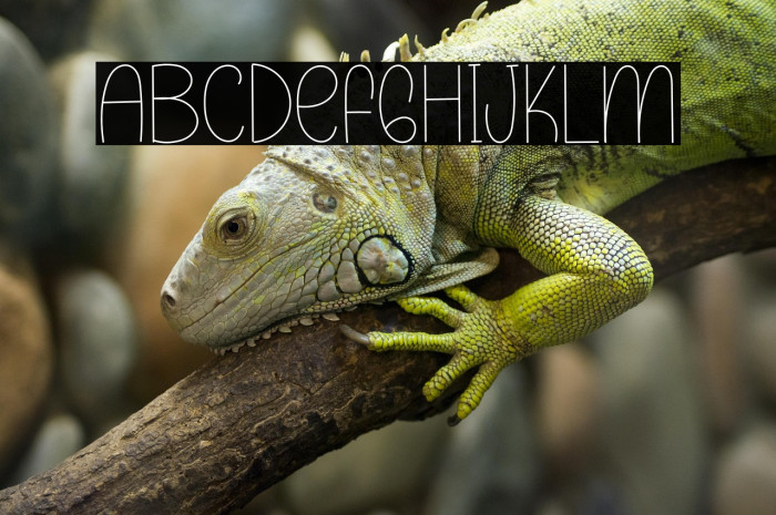 Planner Holiday Example 3