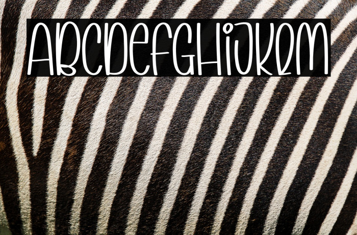 Planner Story Example 3