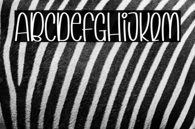 Planner Story Font examples