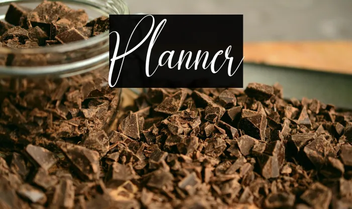 Planner Example 1