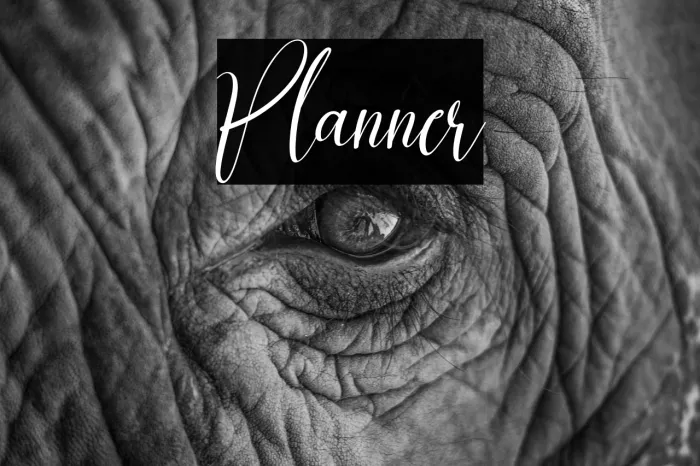 Planner Example 2