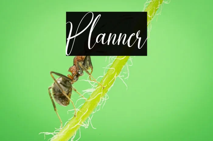 Planner Example 3