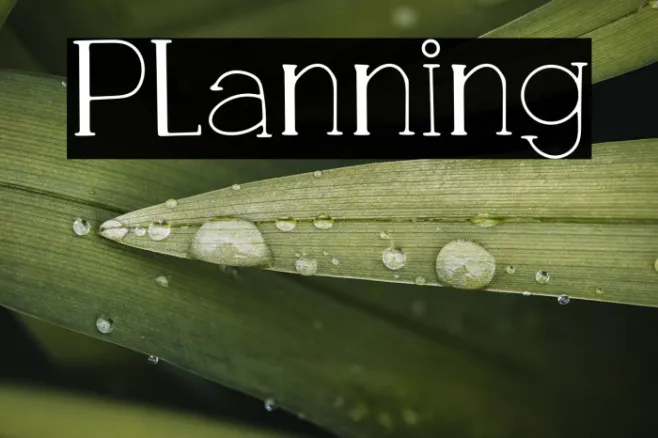 Planning Example 3
