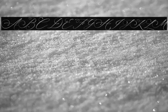 Planolla Font examples