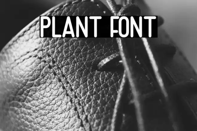 Plant Font examples