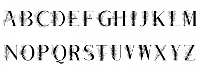 Plante Font Litere mari
