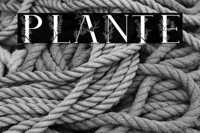 Plante Font examples