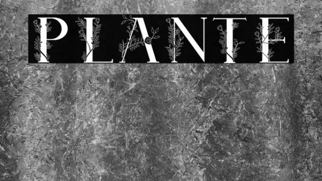 Plante Font examples