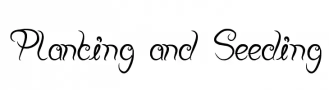 Planting and Seeding 