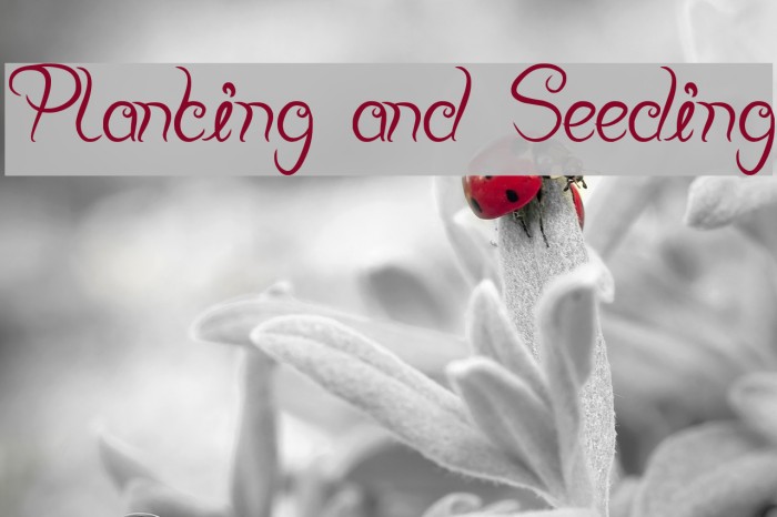 Planting and Seeding Font examples