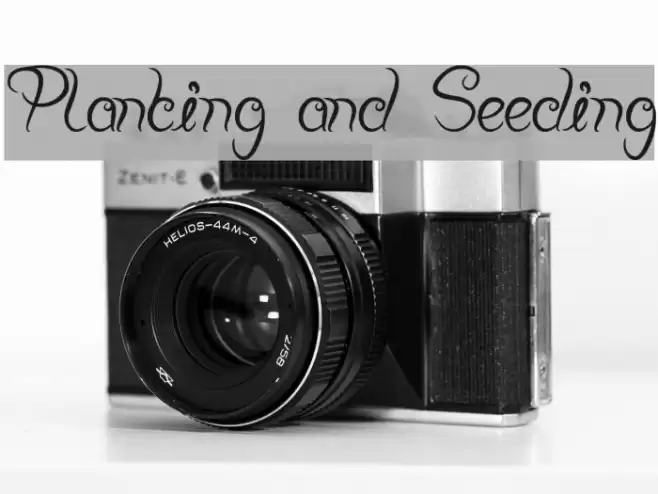 Planting and Seeding Font examples