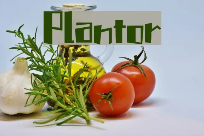 Plantor Example 2
