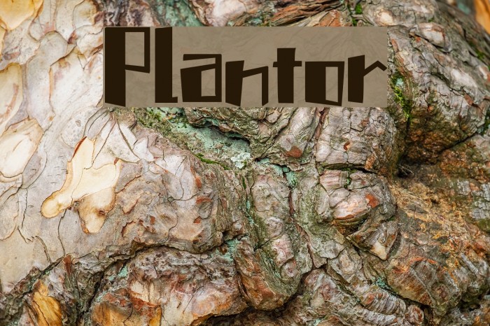 Plantor Font examples