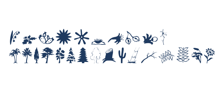 Plants Other Characters