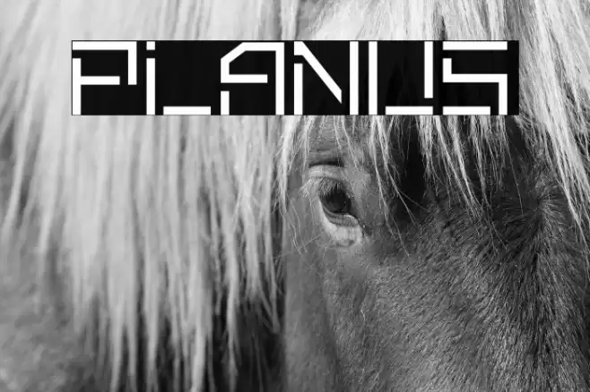 Planus Font examples