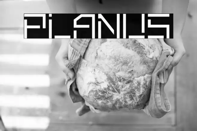 Planus Font examples