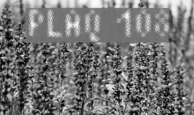 Plaq 108 Font examples