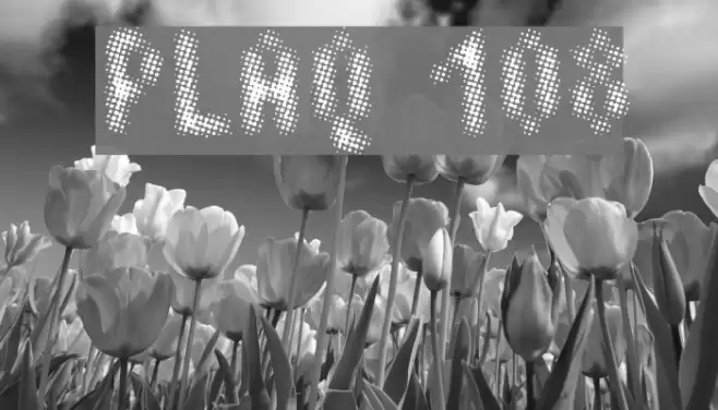 Plaq 108 Font examples