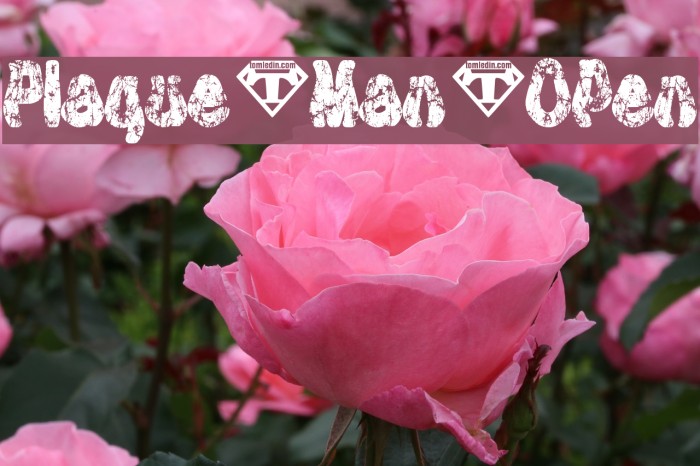 Plaque-Man-Open Font examples