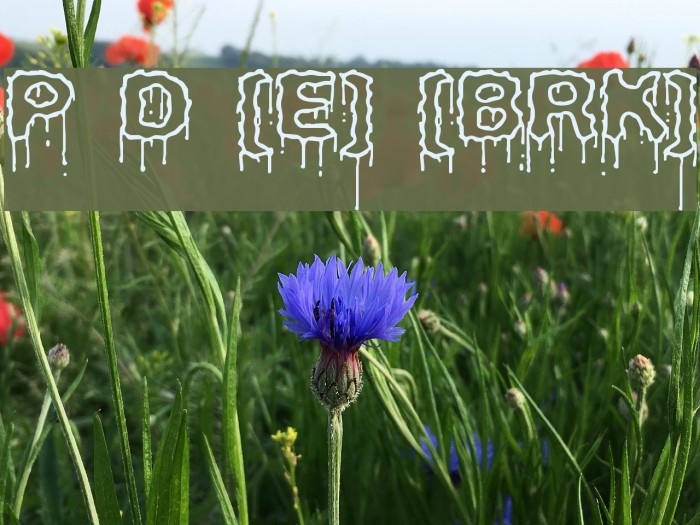 Plasma Drip [Empty] [BRK] Example 1